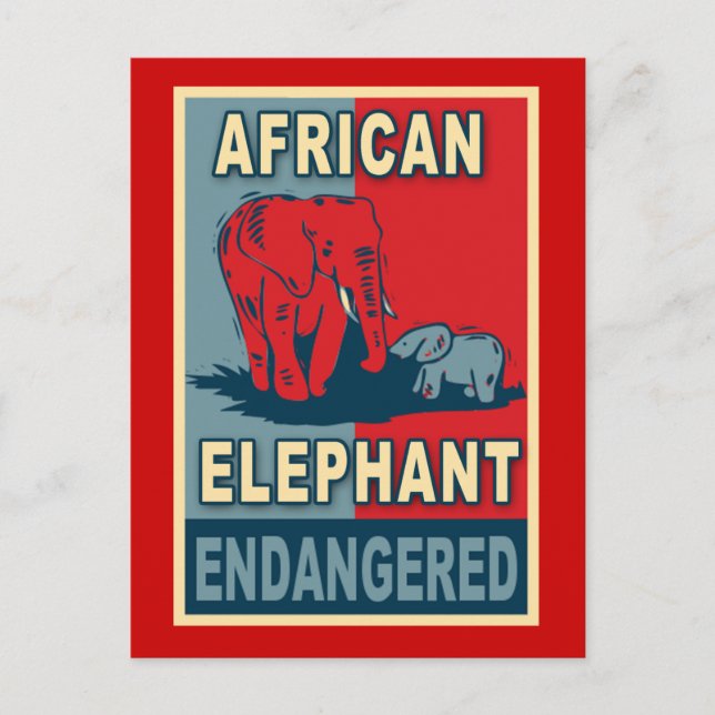 Carte Postale Chemises africaines d'art pop éléphant en danger (Devant)