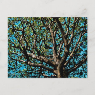 Carte Postale Chêne