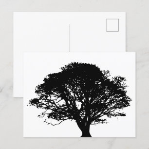 Carte Postale Chêne noir gothique Silhouette Art Dessin