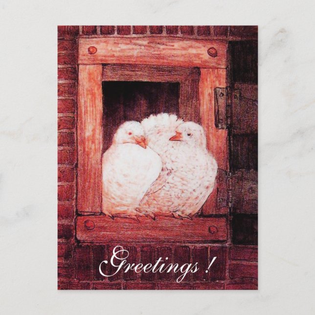 Carte Postale CHÈQUES BLANCHES À LA FENÊTRE rose rouge (Devant)