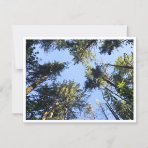 Carte Postale Chercher