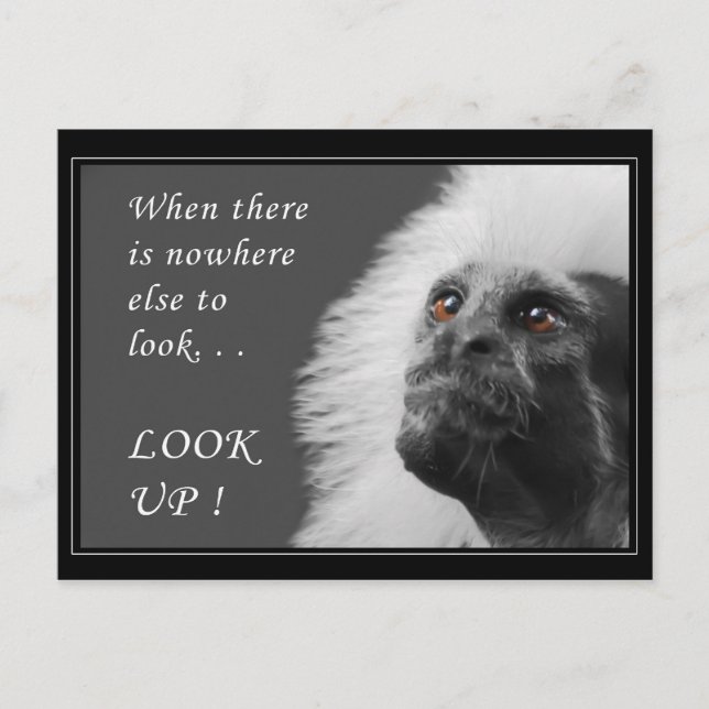 Carte Postale Chercher (Devant)