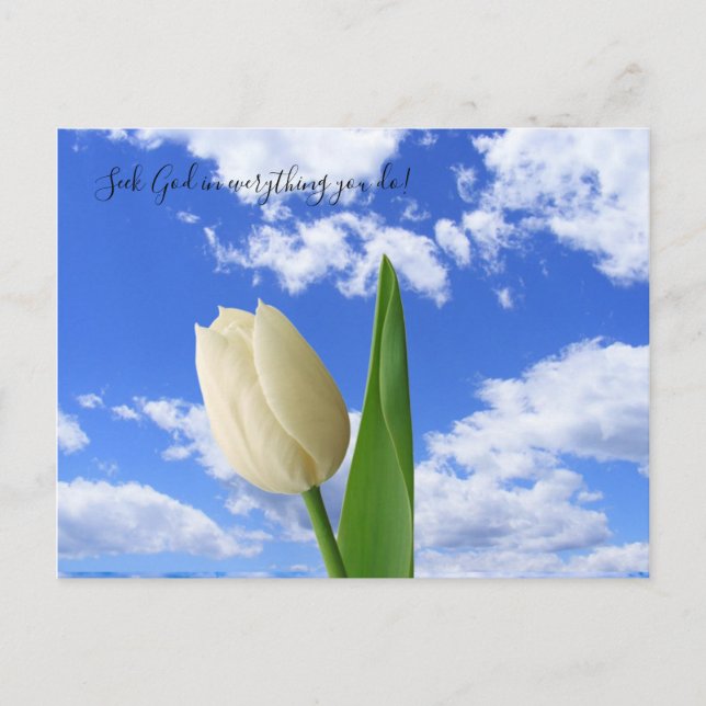 Carte postale Chercher Dieu blanc Tulipe bleu ciel (Devant)