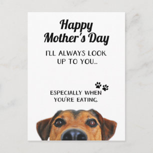 Carte Postale Cherchez Sur Vous Funny Mothers Day PostCard De Ch