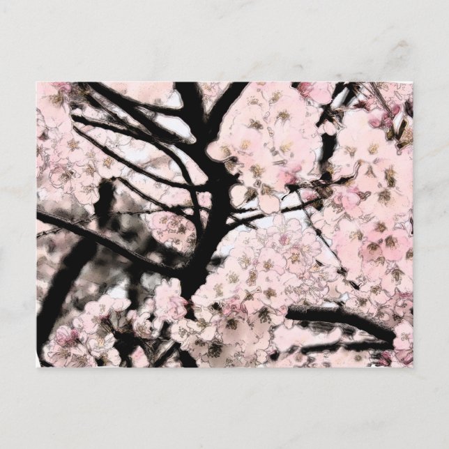 Carte Postale Cherry Blossom édité (Devant)