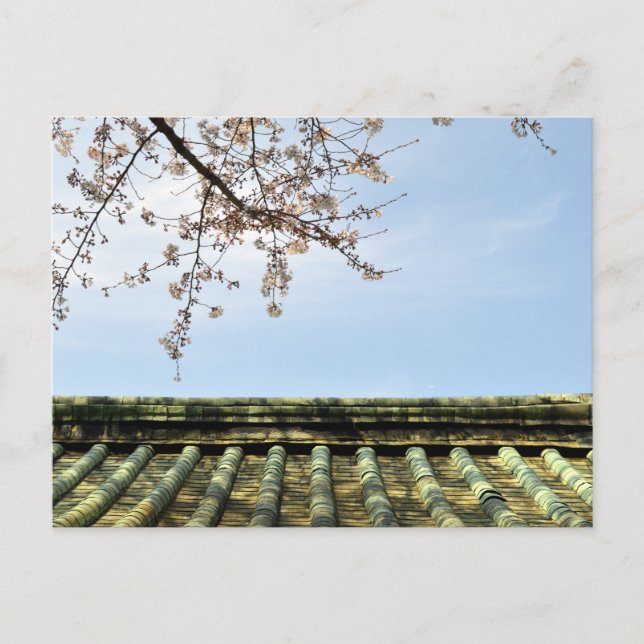 Carte Postale Cherry Blossom : Temple Zojoji, Tokyo, Japon Postc (Devant)