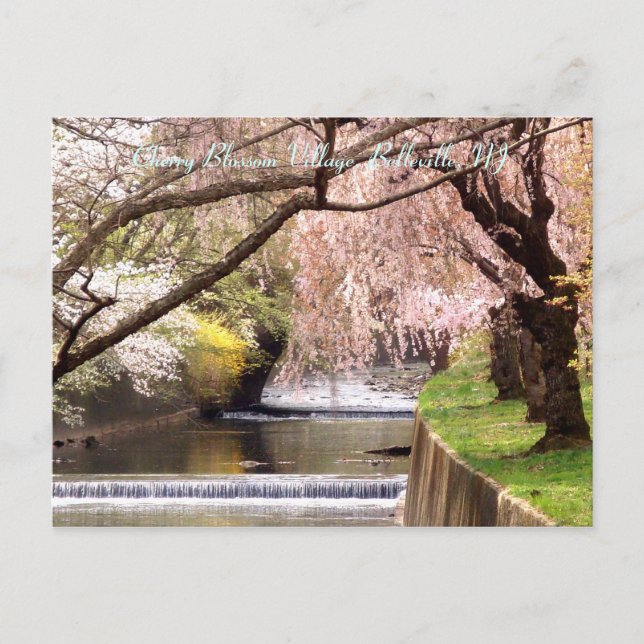Carte Postale Cherry Blossom Village 04 (Devant)