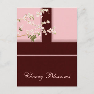 Carte postale Cherry Blossoms