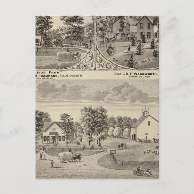 Carte Postale Cherry Grove, Hillside Farm (Devant)