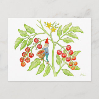 Carte postale Cherry Tomato Gnome