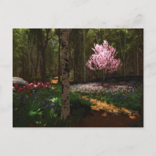 Carte postale Cherry Tree Concerto