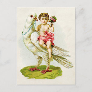 Carte Postale Cherub avec Roses chevauchant une colombe