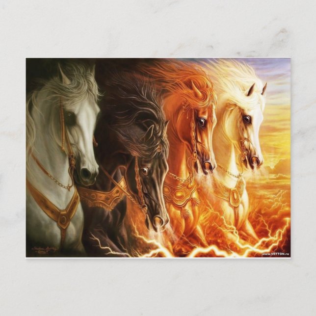 Carte Postale Cheval (Devant)