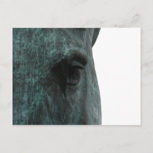 Carte Postale Cheval