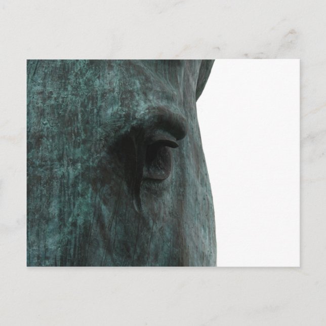 Carte Postale Cheval (Devant)