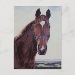 Carte Postale Cheval