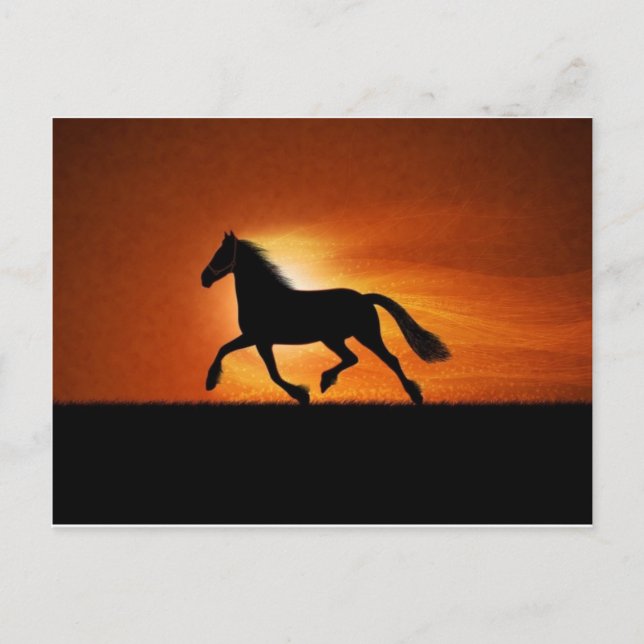 Carte Postale cheval (Devant)