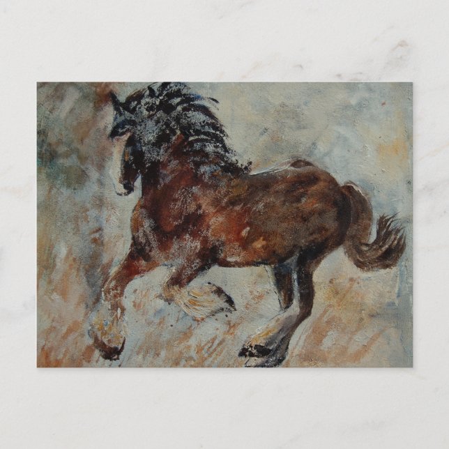 Carte Postale cheval561 (Devant)