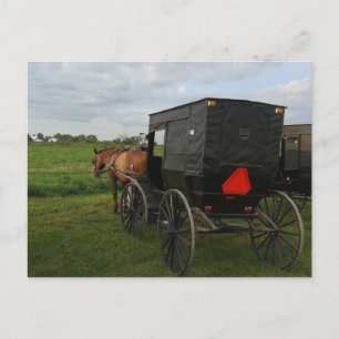 Carte Postale Cheval Amish et Buggy au coucher du soleil