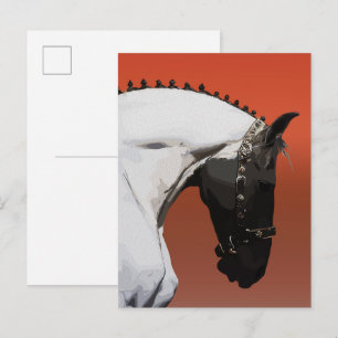 Carte Postale Cheval andalou élégant – Art équestre majestueux