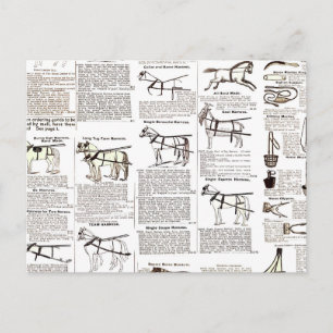 Carte Postale Cheval Antique Publicité Journal Art