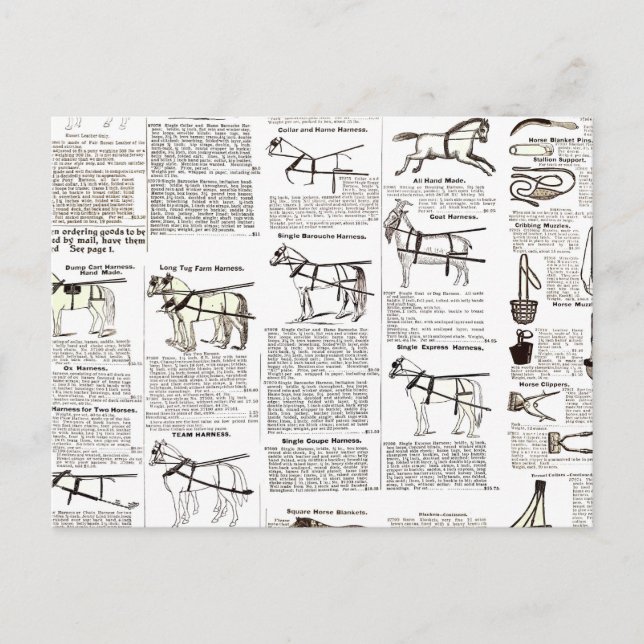 Carte Postale Cheval Antique Publicité Journal Art (Devant)