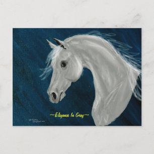 Carte postale Cheval Arabe Gris
