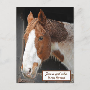 Carte Postale Cheval au gingembre à la ferme Juste une fille qui