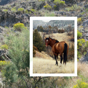 Carte Postale Cheval bai sauvage. Parc national Theodore Rooseve