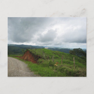 Carte Postale Cheval blanc