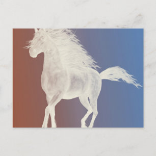Carte Postale Cheval blanc