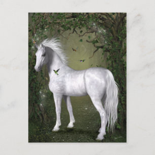 Carte postale Cheval blanc dans les bois avec coli
