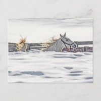 Cheval Blanc Galopant Dans La Neige