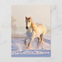 Cheval Blanc, Neige Blanche