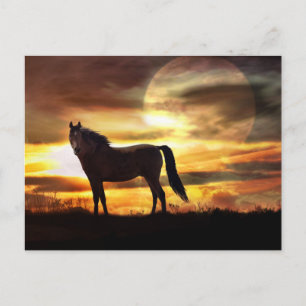 Carte postale Cheval Céleste et Lune