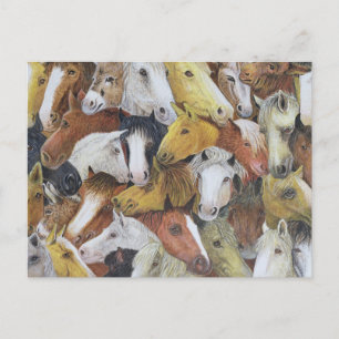 Carte Postale Cheval Chevaux