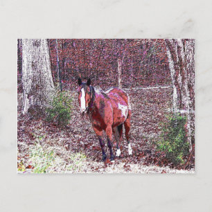 Carte Postale Cheval dans la forêt
