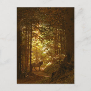 Carte Postale Cheval dans la Forêt Magiquement Lit