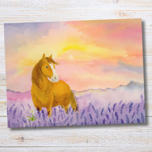 Carte Postale Cheval dans un champ de lavande au coucher du sole