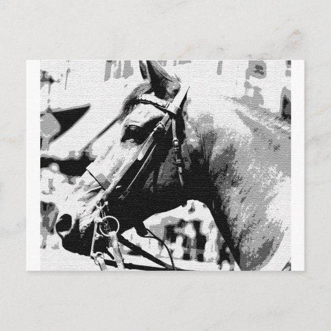 Carte Postale Cheval d'art pop noir et blanc (Devant)