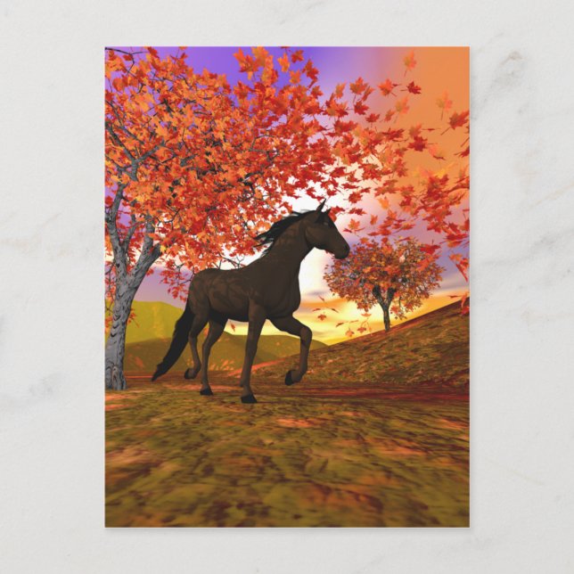 Carte Postale Cheval d'automne (Devant)