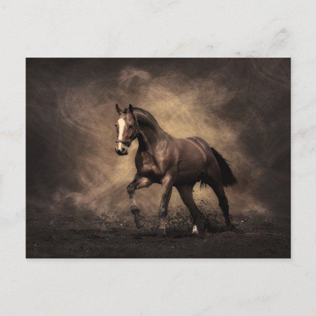 Carte Postale Cheval de Baie (Devant)