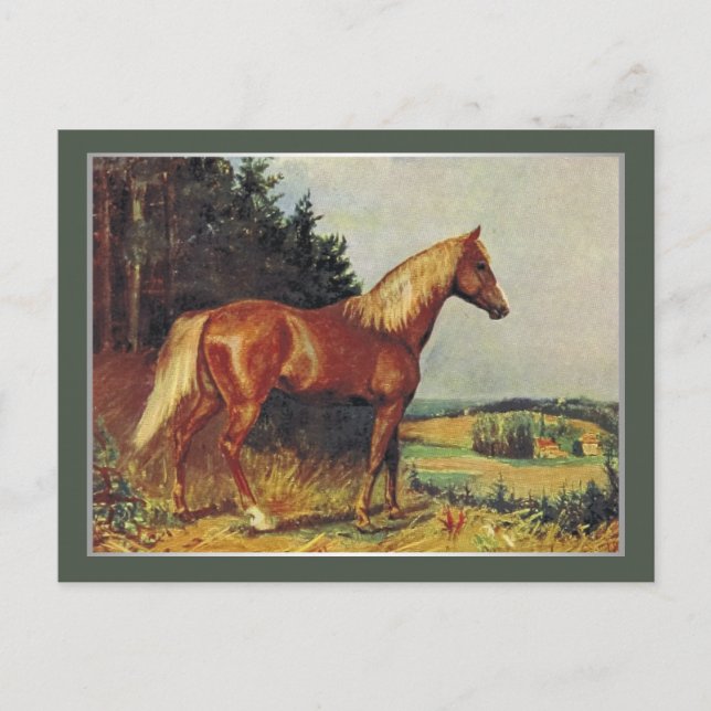 Carte Postale Cheval de châtaignes (Devant)