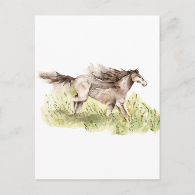 Carte Postale Cheval de course (Devant)