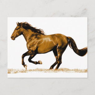 Carte Postale Cheval de course