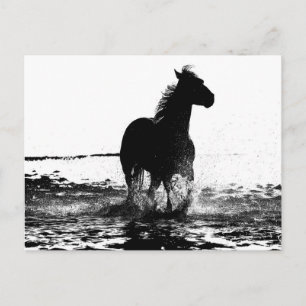 Carte Postale Cheval de course moderne Black & White Pop Art Pho