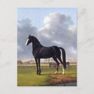 Carte Postale Cheval de course noir vers 1828