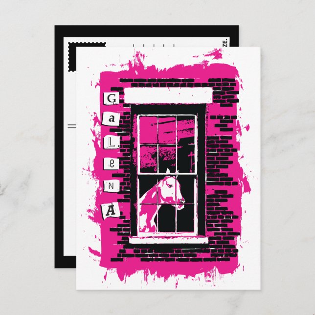 Carte Postale cheval de fenêtre (Devant / Derrière)