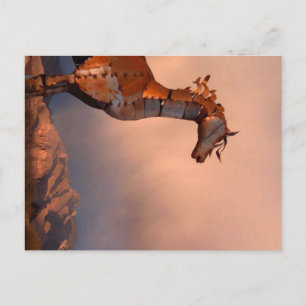 Carte Postale "Cheval de fer"