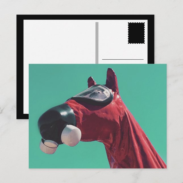 Carte Postale cheval de guerre froide (Devant / Derrière)